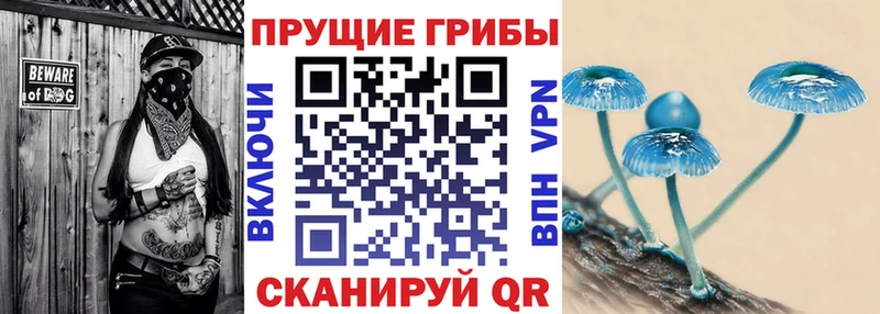 мега рабочий сайт  Трёхгорный  Псилоцибиновые грибы Psilocybine cubensis 